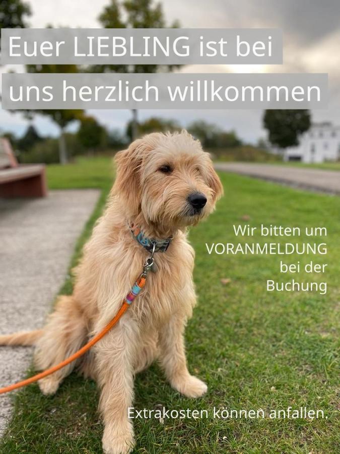 Fewo Timon Grosszuegig Modern Mit Terrasse Ca 50 Qm Hamm  Buitenkant foto